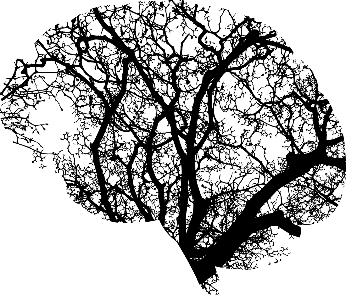 Lion’s Mane: The Brain-Boosting Mushroom for Mental Clarity and Athletic Performance