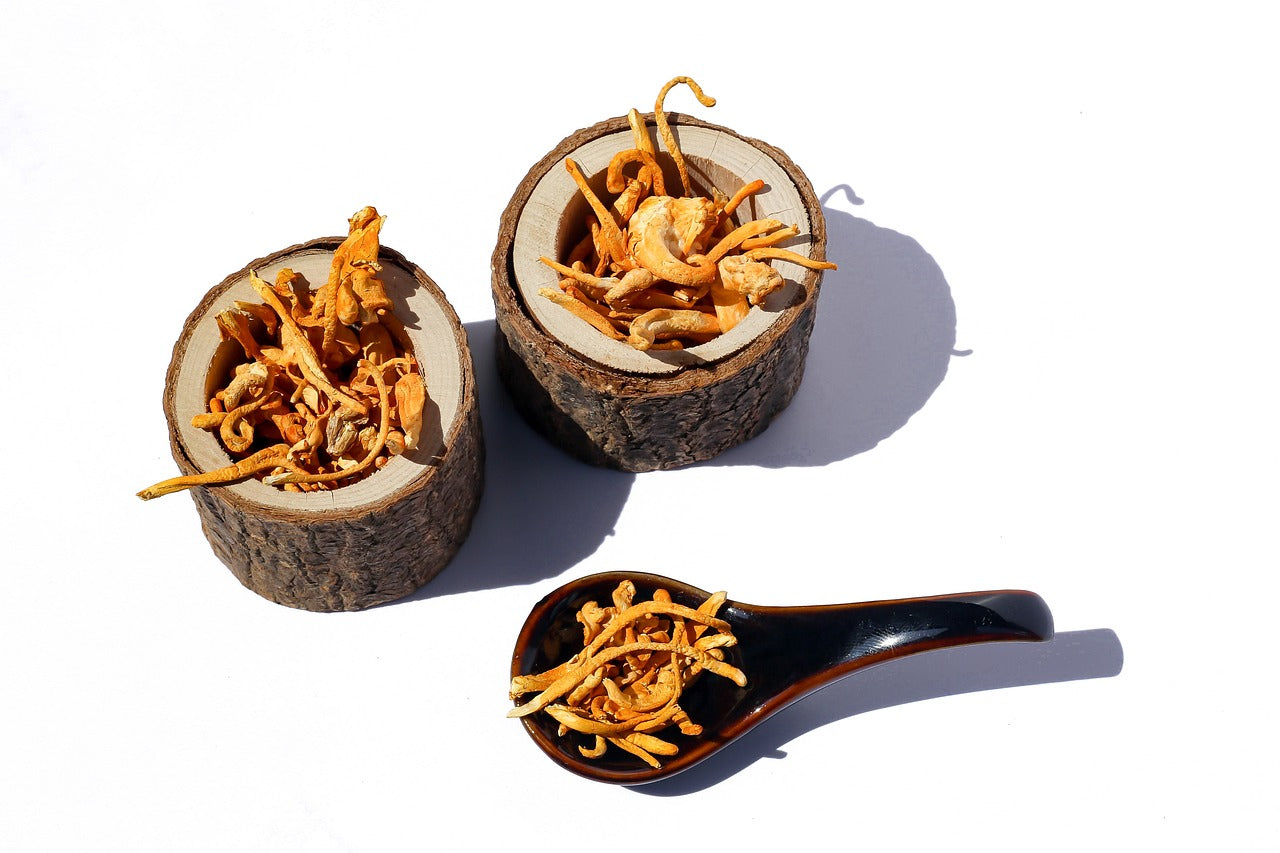 Cordyceps: Nature’s Oxygen Optimizer